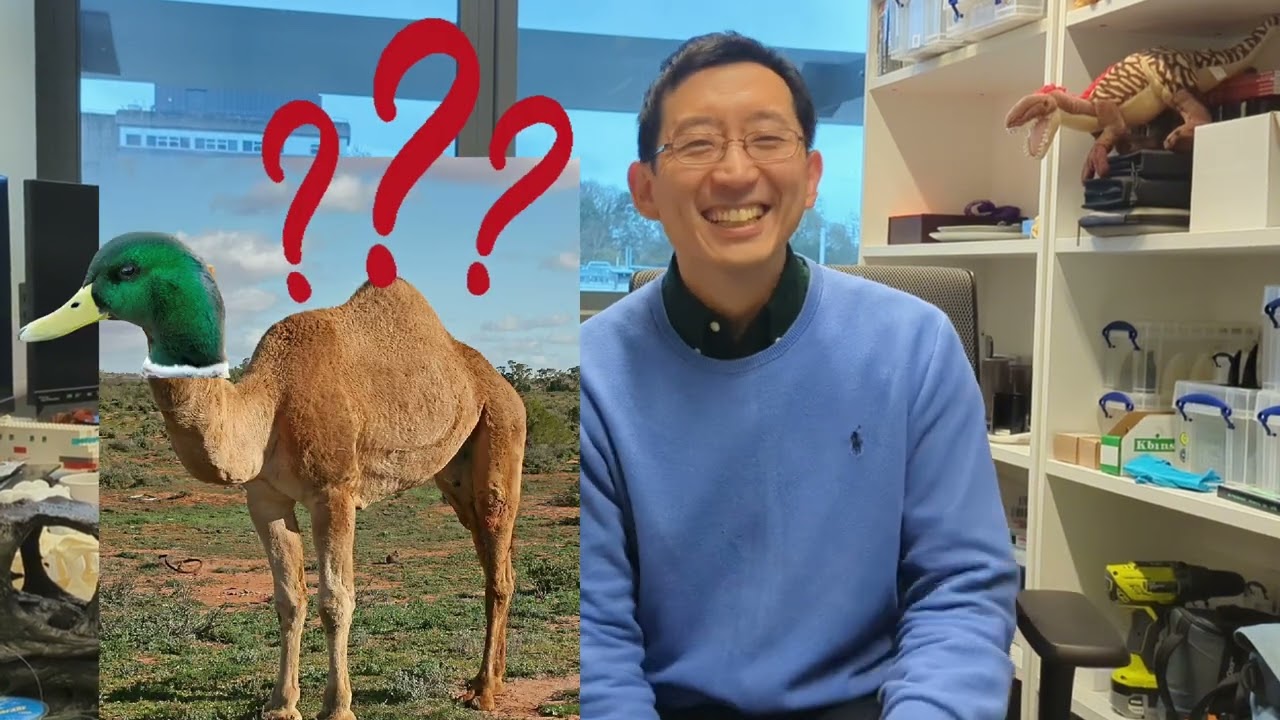 恐竜ランキング・トップスリー：恐竜学を革新した恐竜｜坂本生物学講座｜Sakamoto Talks Biology