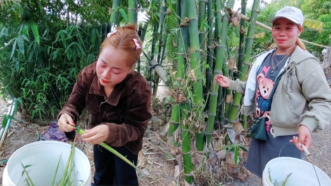 สาวบุณ กับสาวเย็น พากันไปหาหน่อไม้  14 มีนาคม ค.ศ. 2026