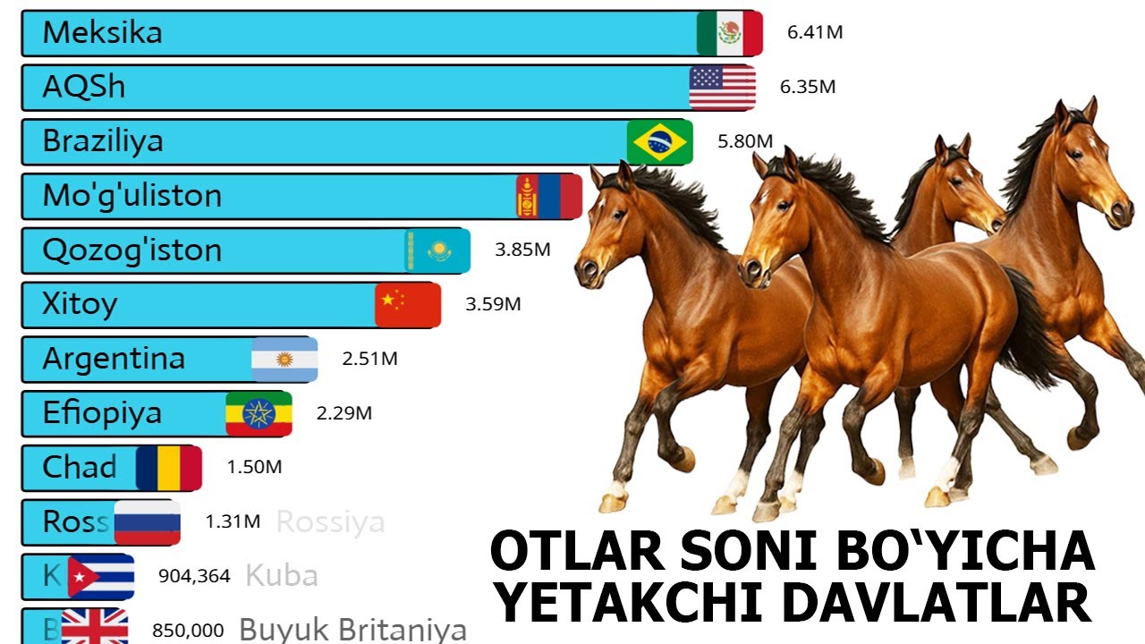 Энг Кўп От Боқадиган Давлатлар Статистикаси (йиллар Бўйича) 1961- 2025