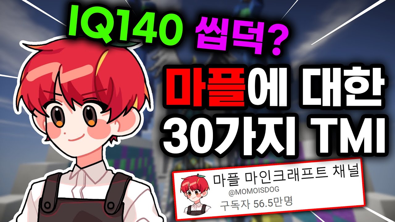마플에 대한 당신이 모르는 30가지 TMI (씹덕)