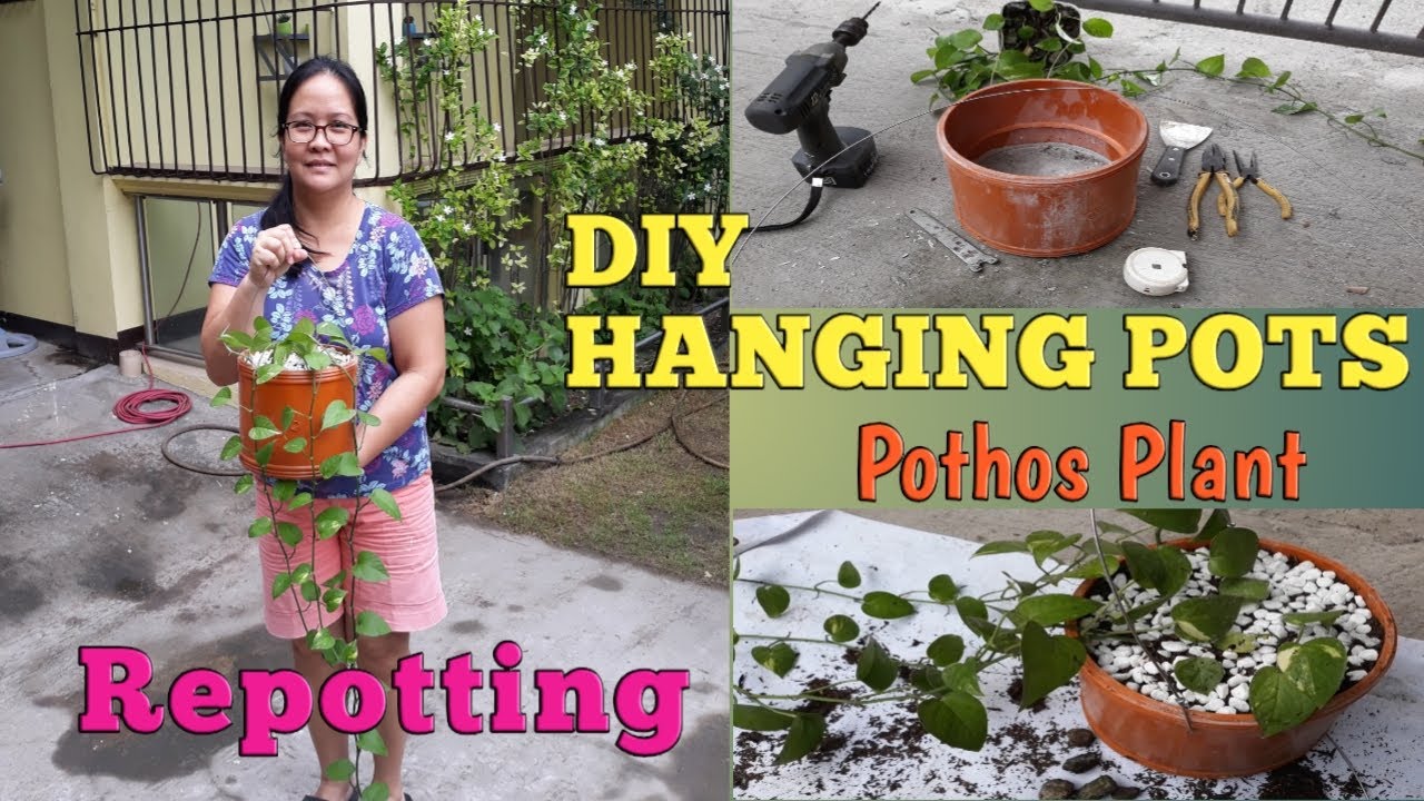 DIY HANGING POTS for Repotting POTHOS Plant And Replanting Snake Plant/tina likesNhappiness