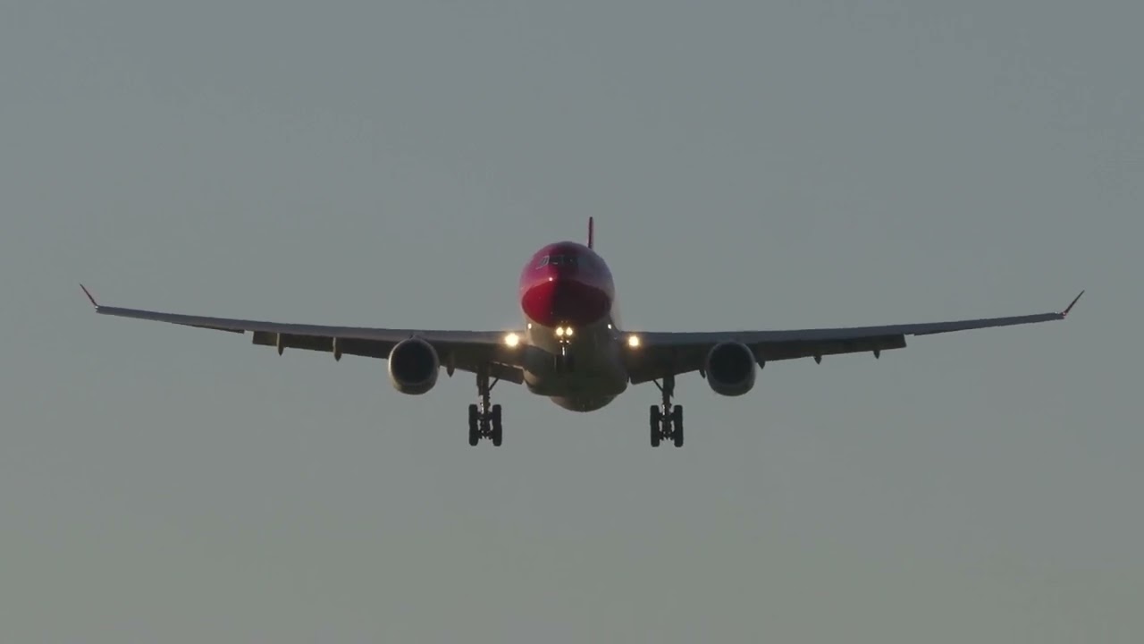 Can Planes Actually Land Themselves? The Truth About Autoland!
