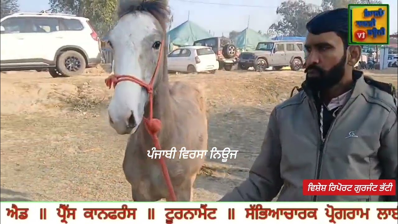 40 ਮੁਕਤਿਆਂ ਦੀ ਯਾਦ ਵਿੱਚ ਲੱਗਣ ਵਾਲੇ ਮਾਘੀ ਦੇ ਮੇਲੇ ਵਿੱਚ ਘੋੜੀਆਂ ਦਾ ਮੇਲਾ ਦੀਆਂ ਰੌਣਕਾਂ