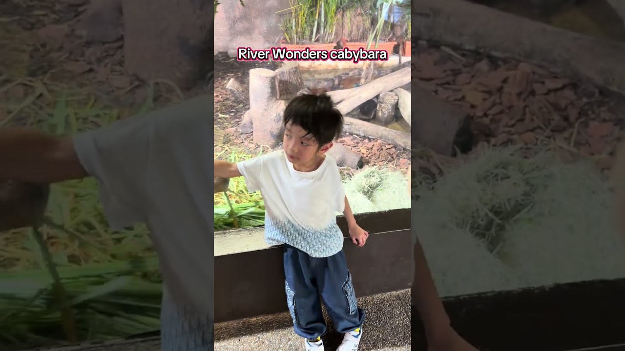 Kids Explores River Wonders! 🌿🛶 | Triple K’s World 