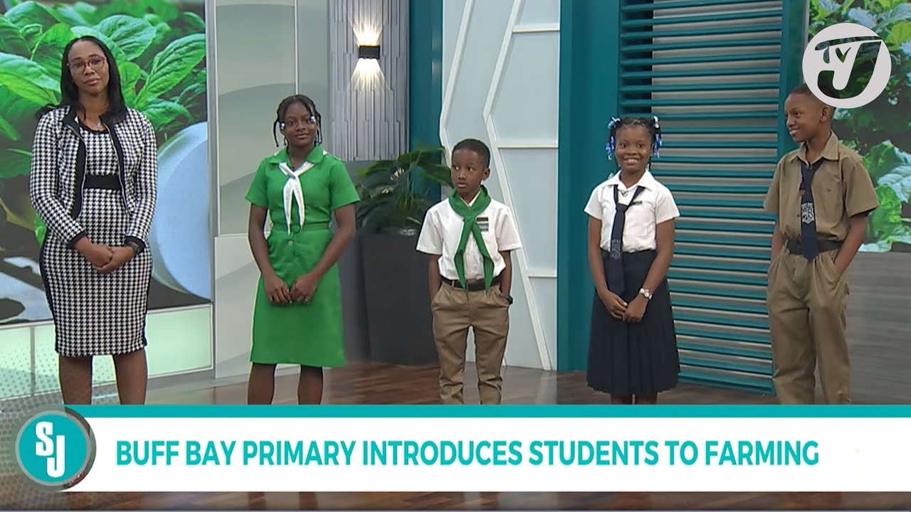 Buff Bay Primary Introduces Students to Farming | TVJ Smile Jamaica