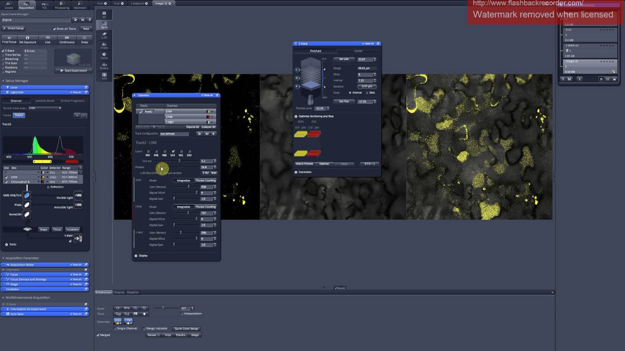 6. z-stack. Scanning parameters for 3D reconstruction