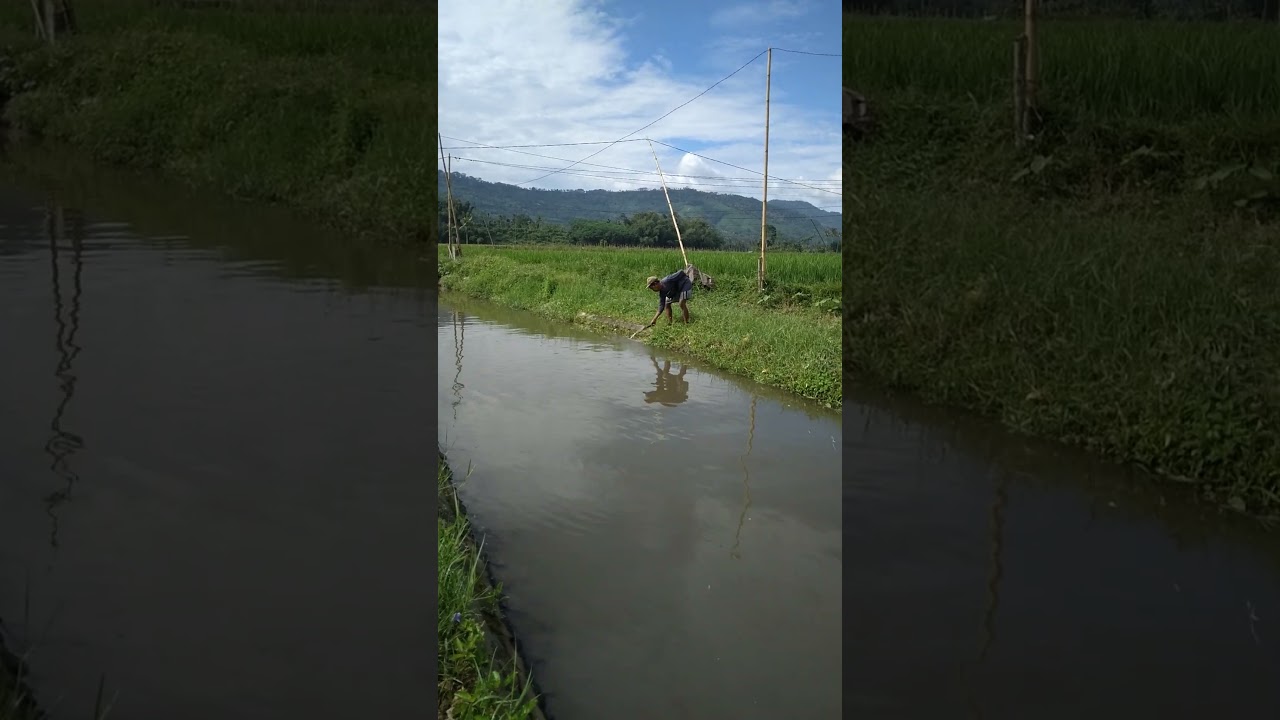 saluran sekunder