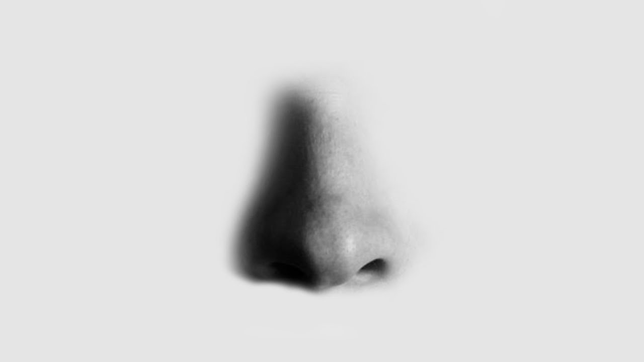 HOW TO DRAW A NOSE WITH GRAPHITE AND CHARCOAL