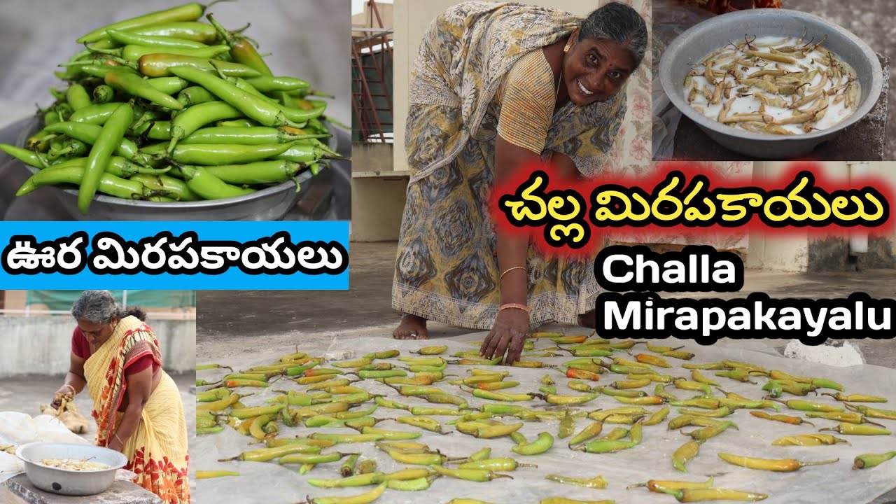 చల్ల మిరపకాయలు తయారీ,1946 పూర్వం మా పెద్దలు ఇలాగే challa mirapakayalu Buttermilk Mirchi మజ్జిగమిర్చి