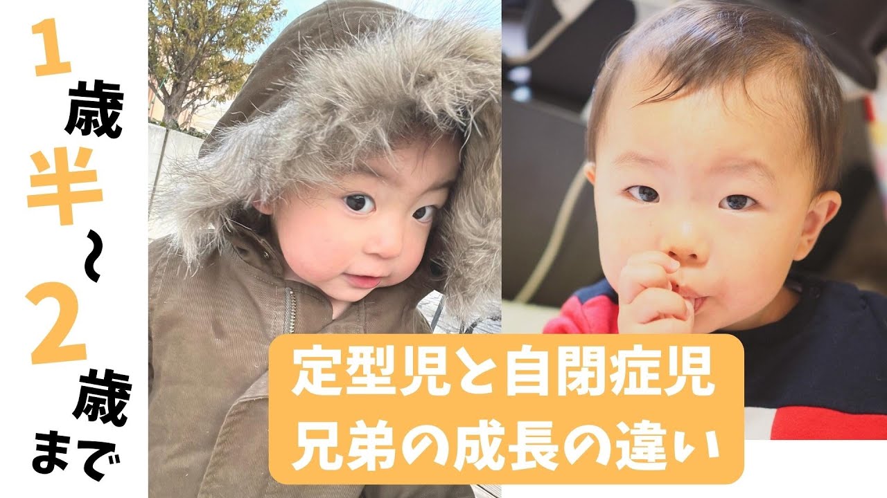 【自閉症と分かるまで】1歳半〜2歳までの兄弟の成長の違い