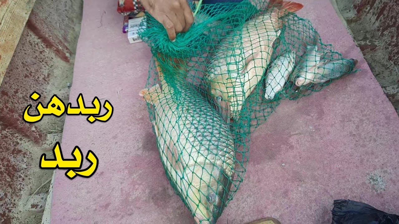 ماراح تتوقع شنو سوه علاء اليوم بالسمتي#قيصر_الصياد