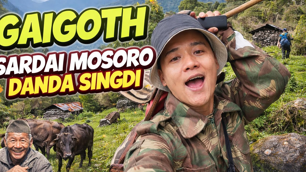 Gaigoth Sardai Mosoro Danda Singdi Lamjung | Real Village Experience in Nepal | DITULGRG 💪🏼