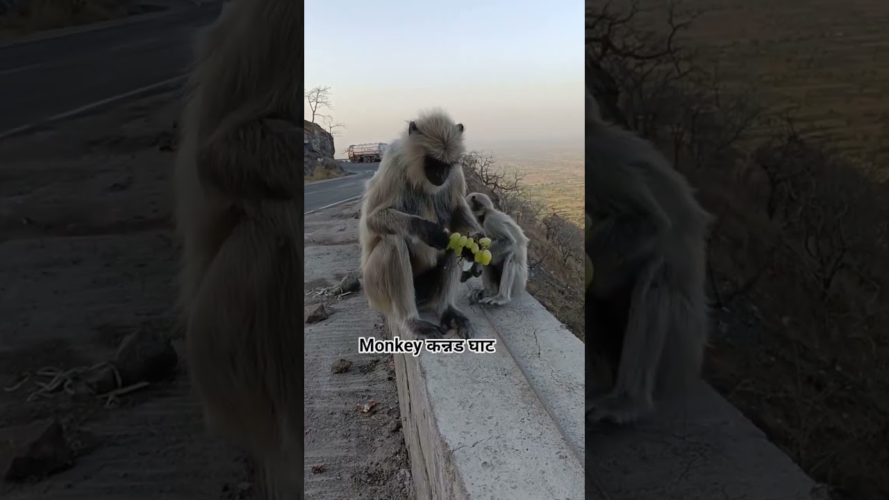 कन्नड घाट  kannad ghat
