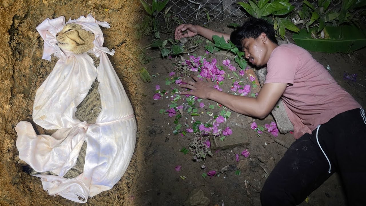 Stres Km4tian Kucing Kesayanganya Cupstuwerd Tidur Di Kuburan Ojan Berhari2!!