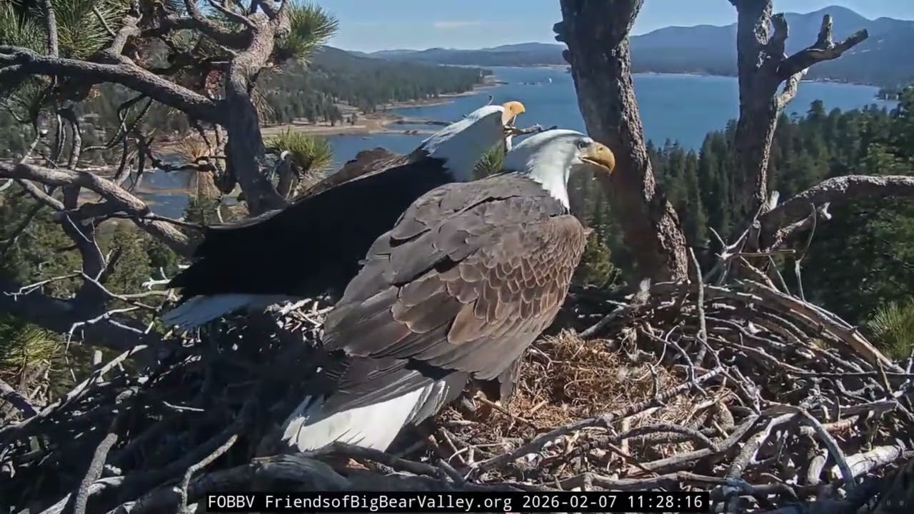 2-7-2026 Watchful and Diligent…