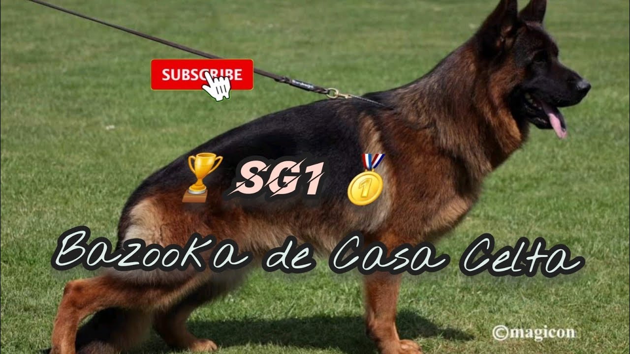 #bszs2022 - SG1 BAZOOKA de Casa Celta