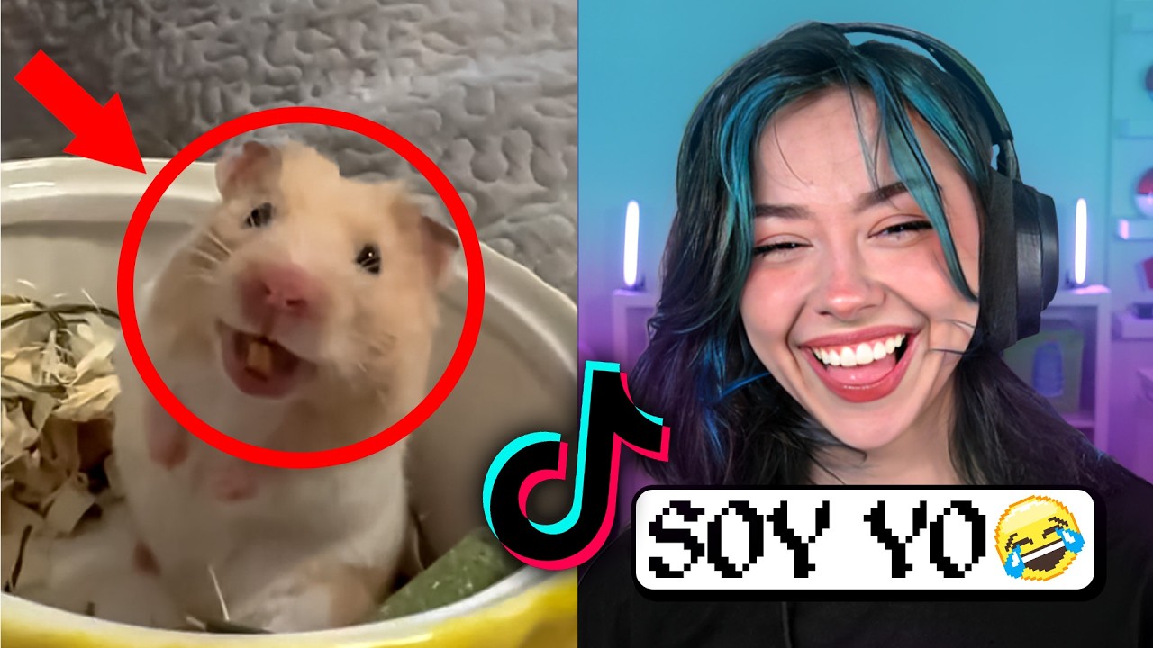 MEMES tan XD que VOLVI a APARECER en ELLOS 🤣