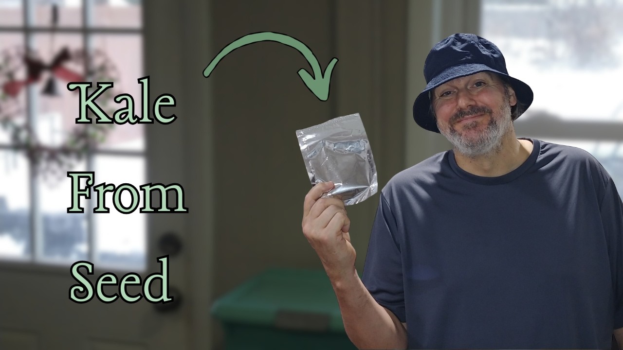 Grower Reveals: How I Start Kale From Seed for Thick, Harvest-Grade Plants