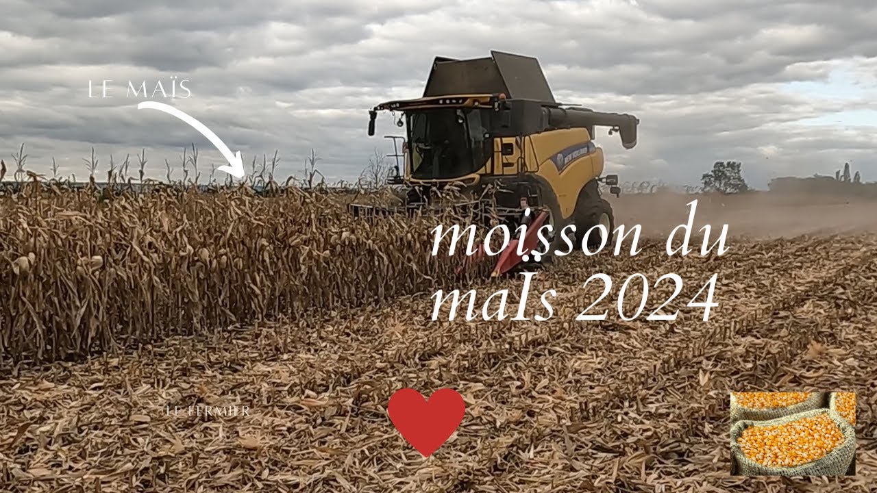 moisson mais 2024