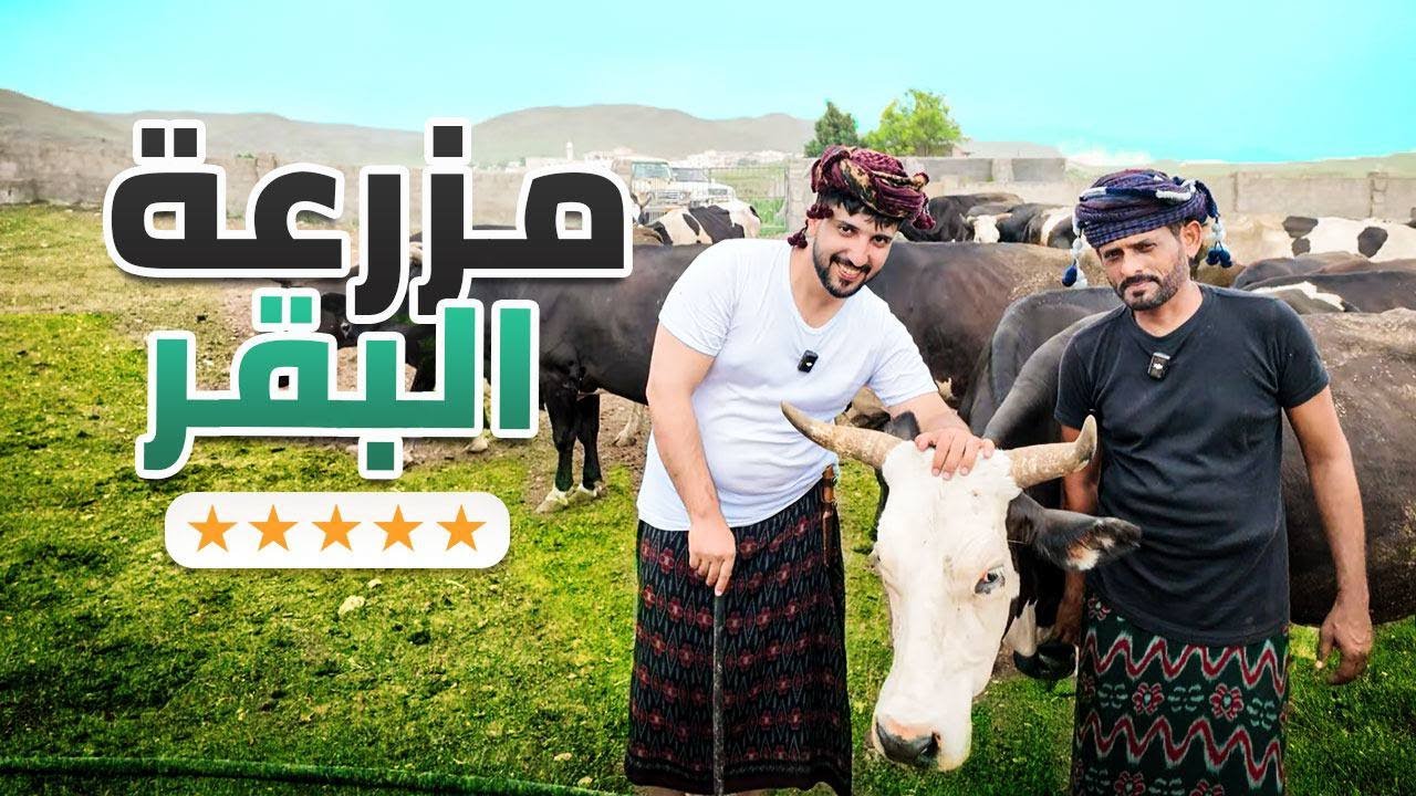 كل بقرة لها أسم !! فلوق مزرعة البقر في صلالة 🐄😳