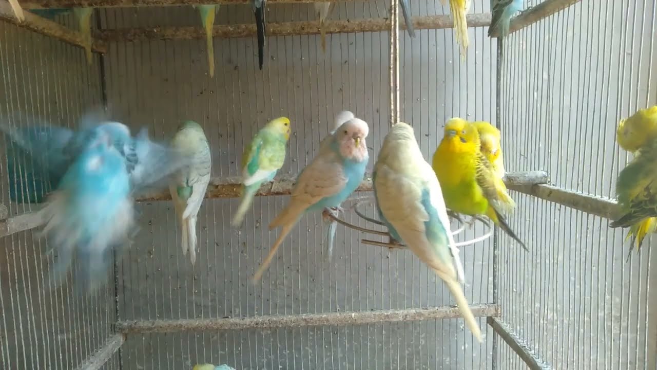 ☀️ Vergleiche … kleine Details, große Wirkung