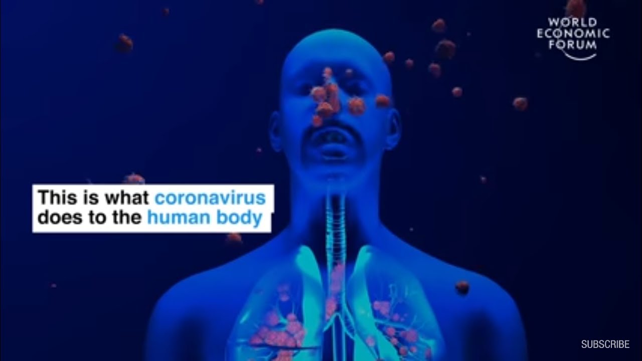 what COVID 19 do with HUMAN Body ?| COVID-19 Pendamic 2020