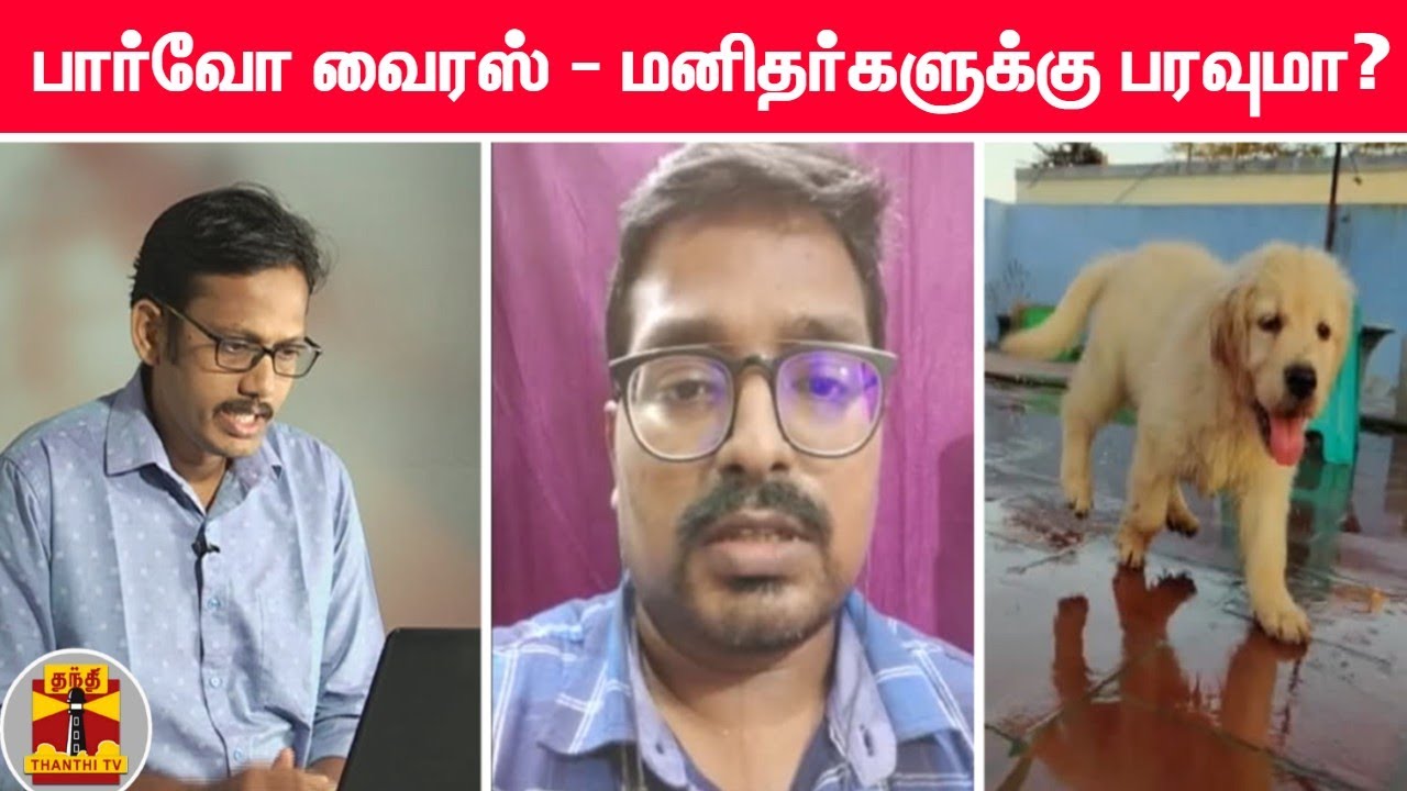 பார்வோ வைரஸ் - மனிதர்களுக்கு பரவுமா? | Parvo Virus