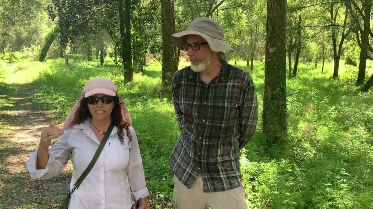 Magickal Oaks Conservation Interview with PLC