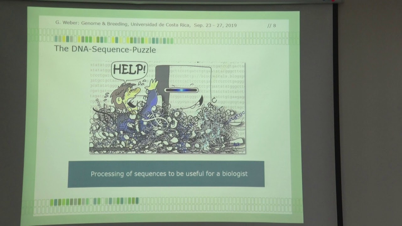 DNA sequencing of eukaryotes, molecular marker development and their application in plant breeding