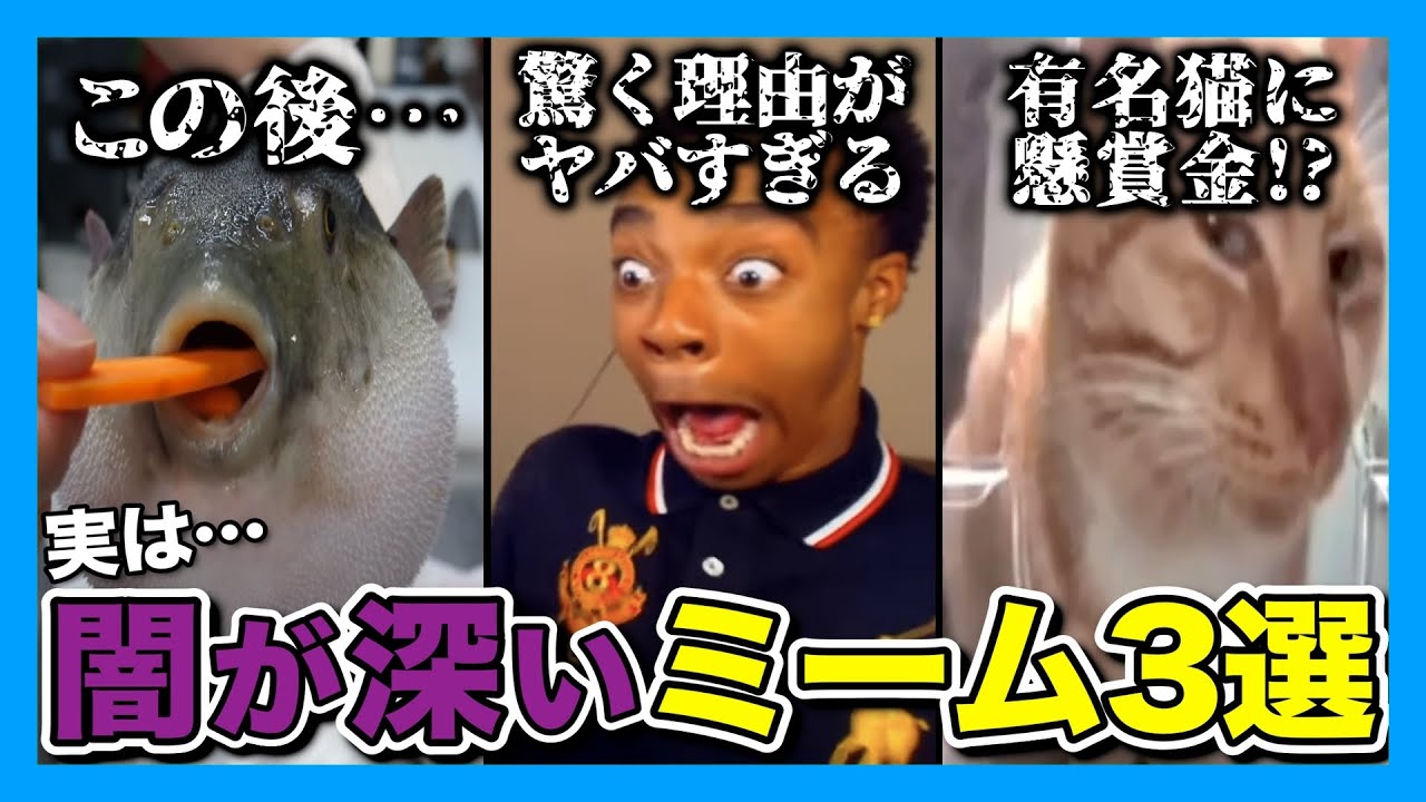 Шокирующая правда о популярных мемах