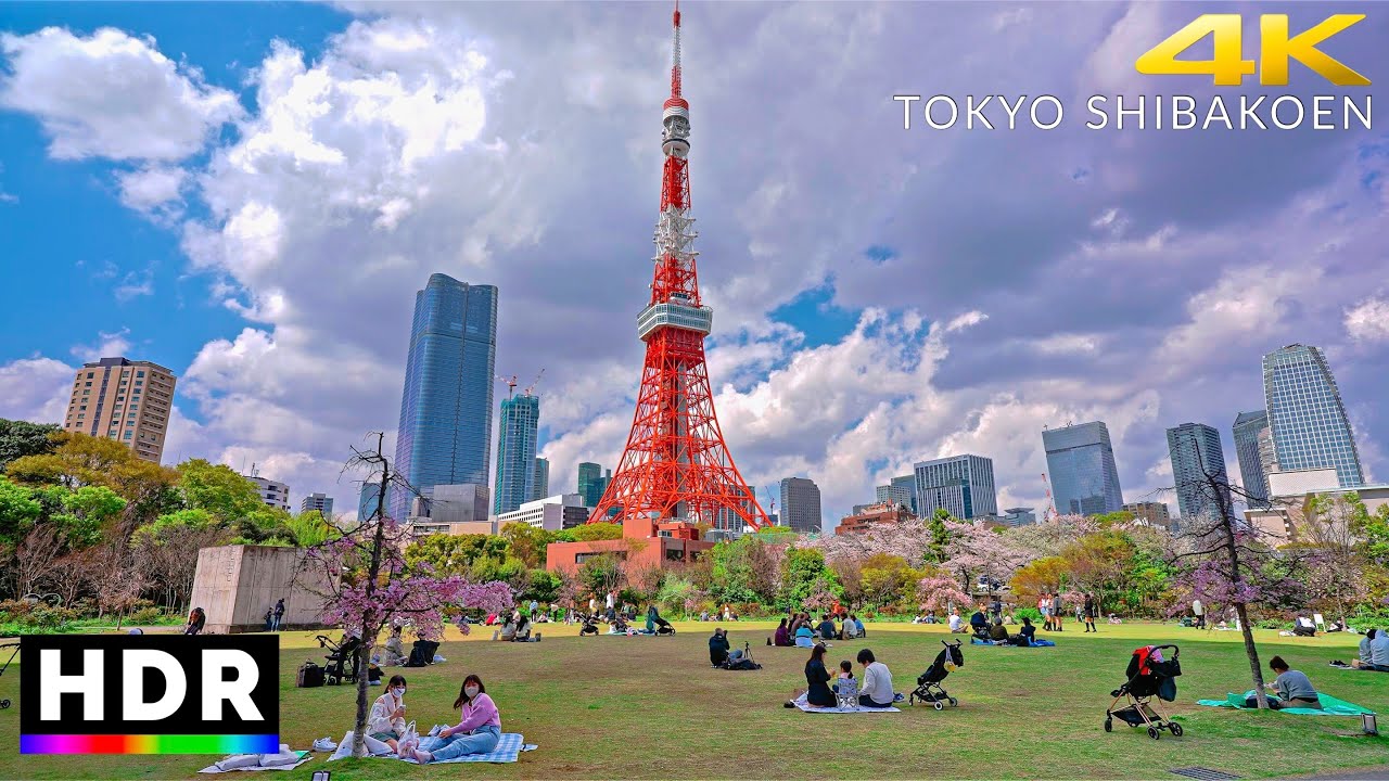 Tokyo Japan - Walk in Shiba Park, Hamamatsucho🗼【4K HDR】
