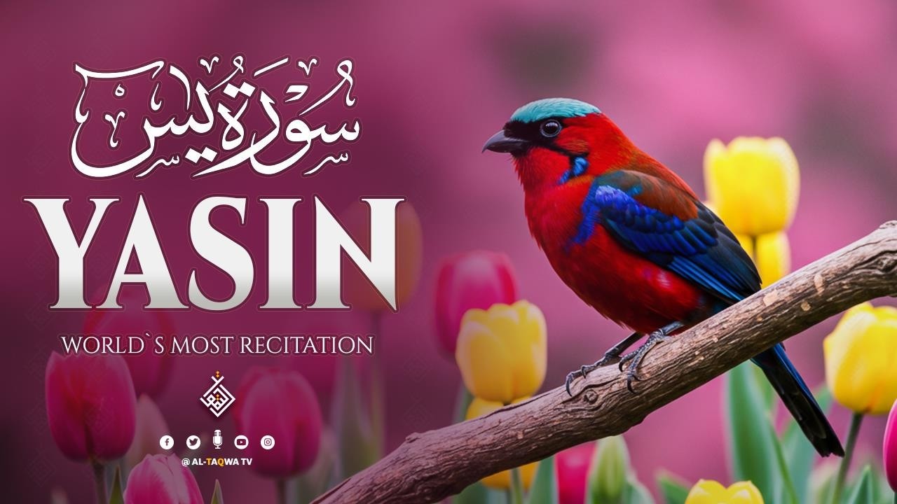 Surah Yasin (Yaseen) سورة يس | Calm Your Thoughts with Gentle Recitation​ | Al-Taqwa TV