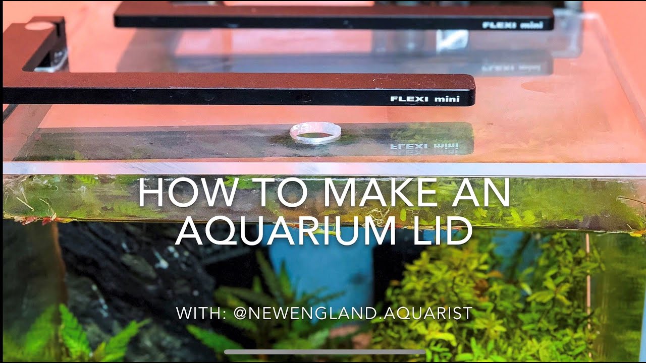 How to Make a Custom Aquarium Lid