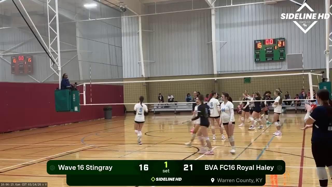 Wave 16 Stingray @ BVA FC16 Royal Haley (2026.03.14)