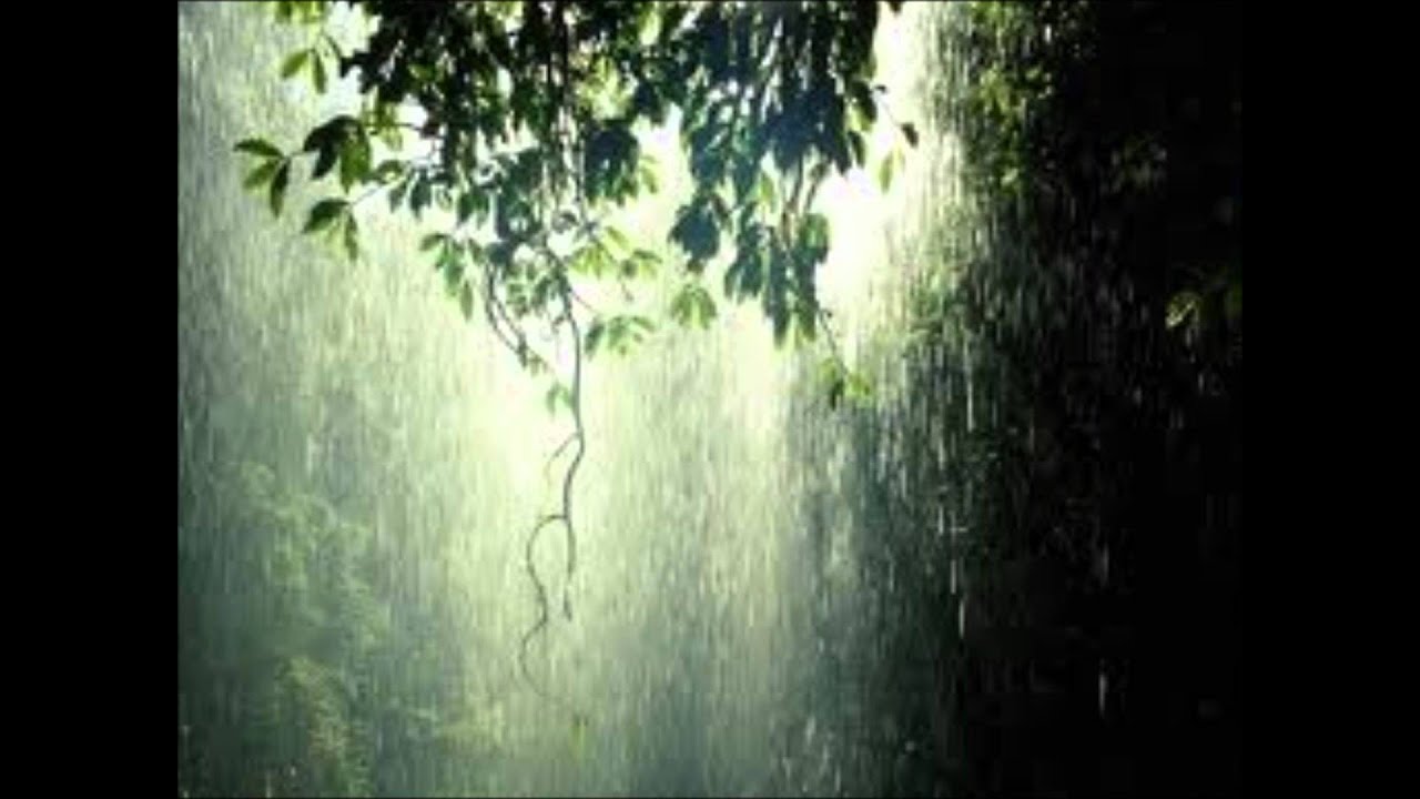 Aguacerito llové - Liliana Montes / Folclor Pacifico