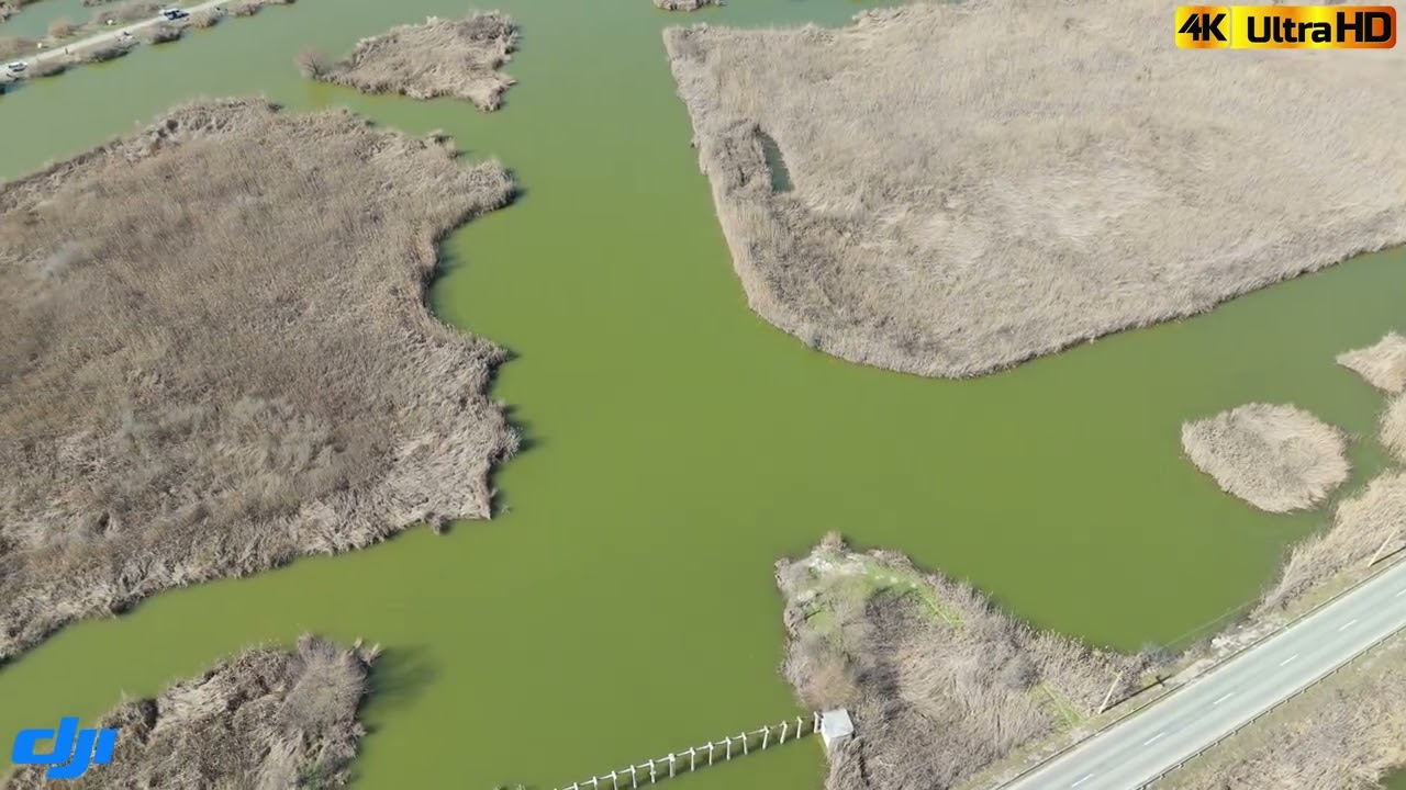 DJI FLIP 2026 03 08 Enisala