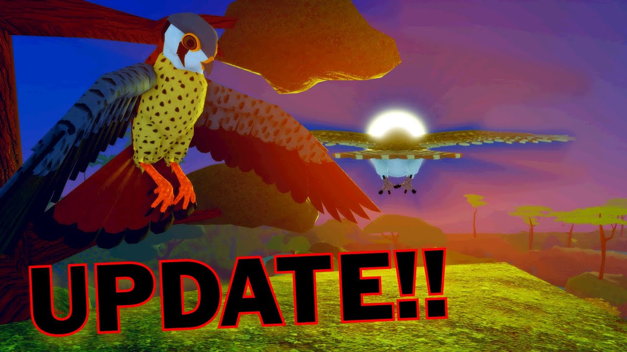 Barn Owl & Kestrel Showcase | Feather Family