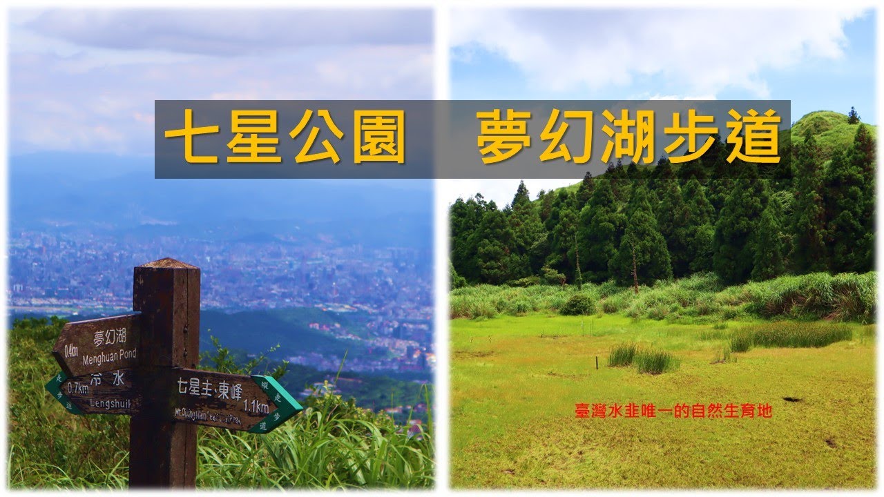 [台北北投] 稀有的水生蕨類 - 台灣水韭的棲地 夢幻湖步道，順遊七星公園