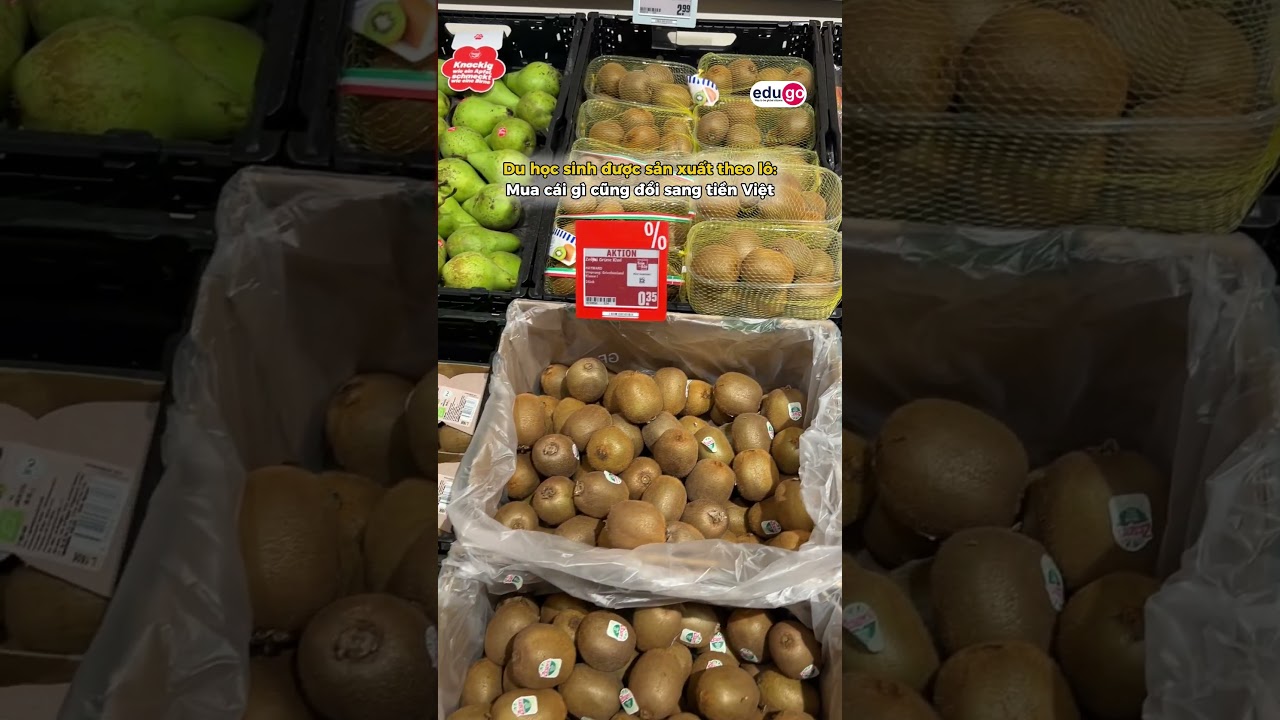 EduGo - Du Học Nghề Đức #edugo #duhocngheduc #hoctiengduc #germany #shorts