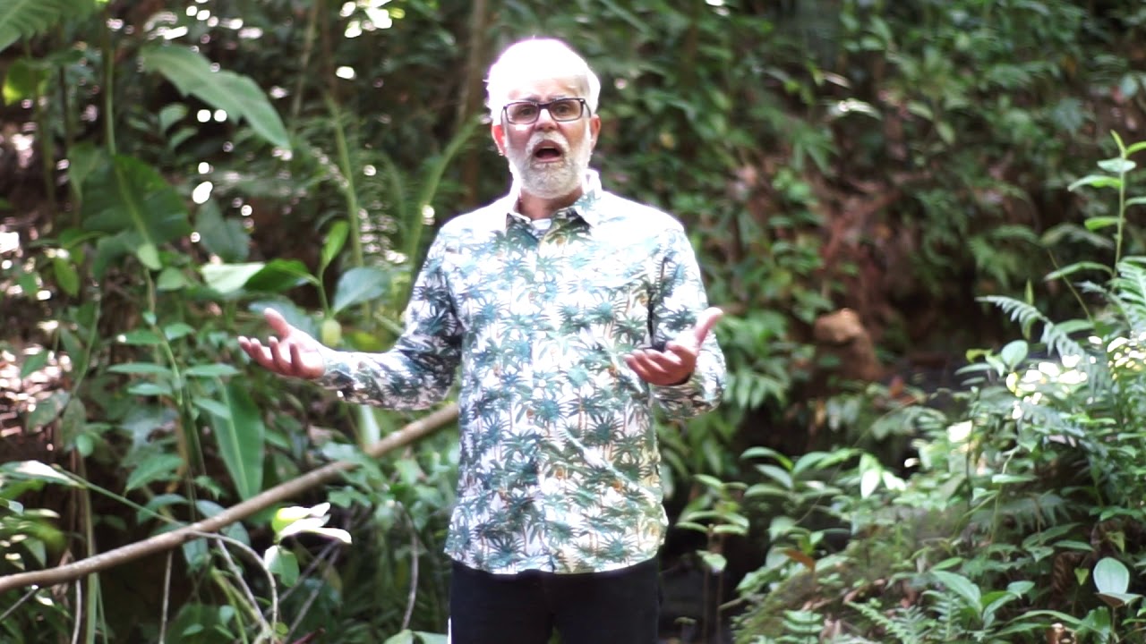 A BELEZA NAS COISAS SIMPLES