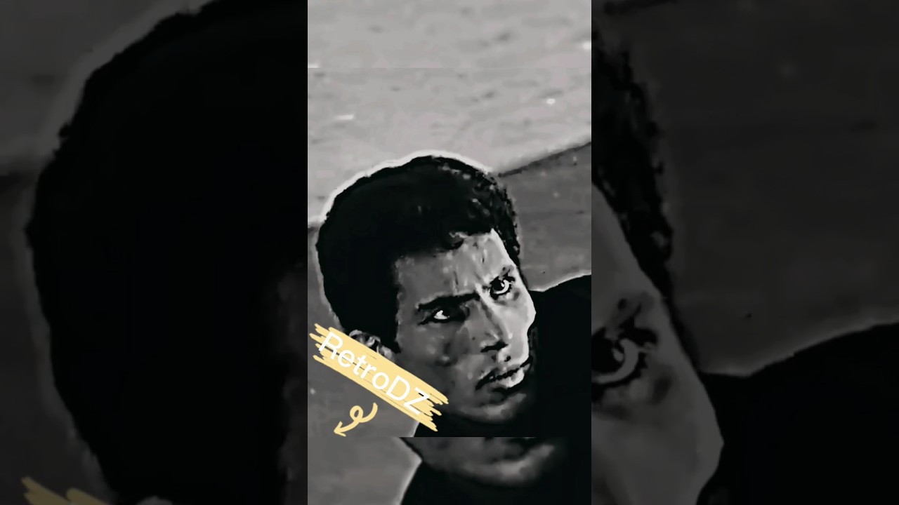 Ali la Pointe the France's nightmare 