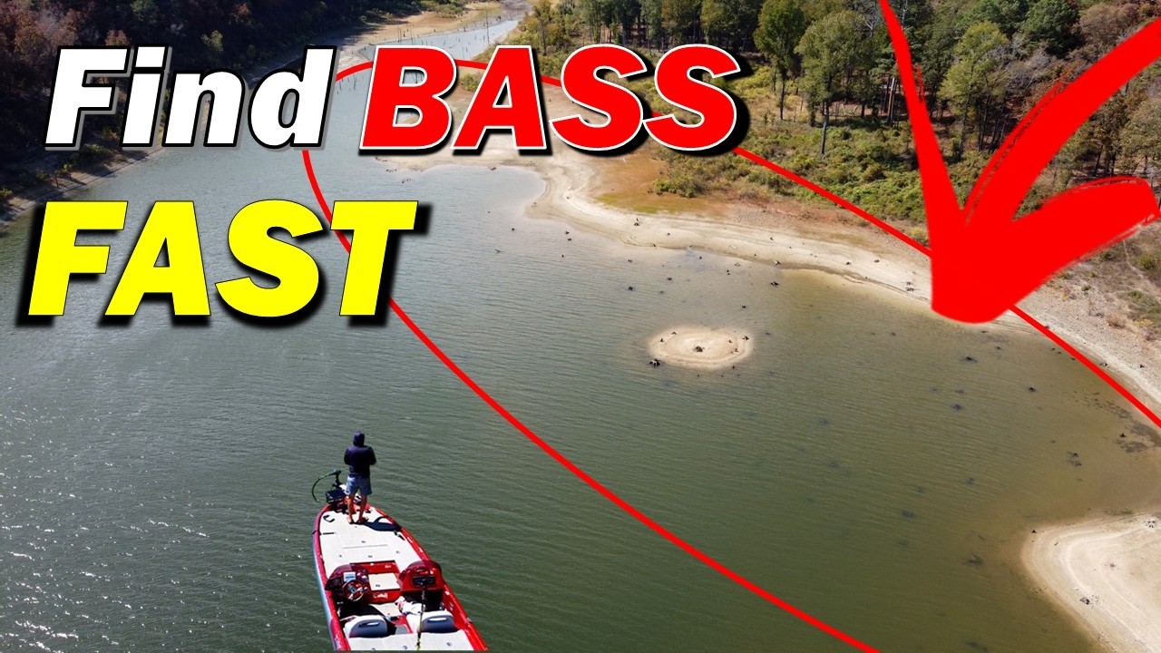 Разгадка секрета поиска окуня в преднерестовый период