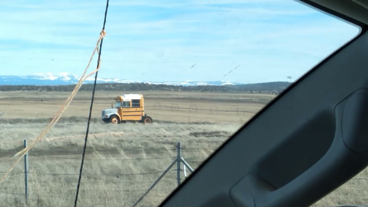 Camel toes campaign bus found on road dead