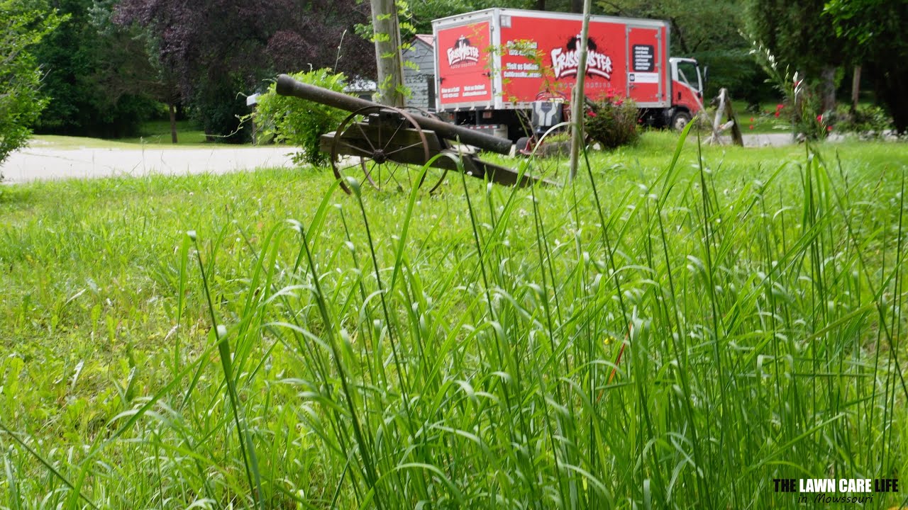 Her Grandmother PASSED Away and She is HOURS Away - Mowing Overgrown Lawn with Battery Mower