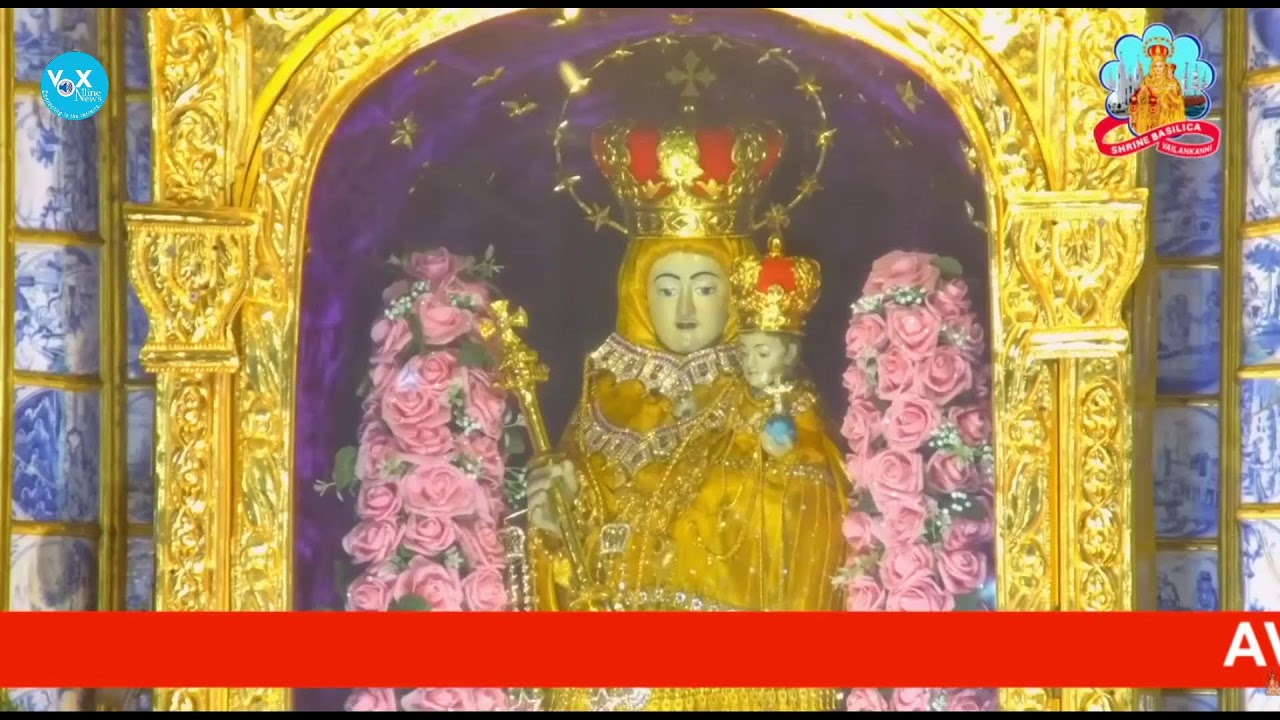 🔻 LIVE MASS || വേളാങ്കണ്ണി പള്ളിയിൽ നിന്ന് മലയാളം ദിവ്യബലി തത്സമയം || (MON to SAT 9 AM)