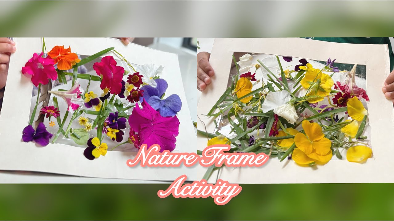 Nature Frame Activity for Kids| Learning Through Play with Nature