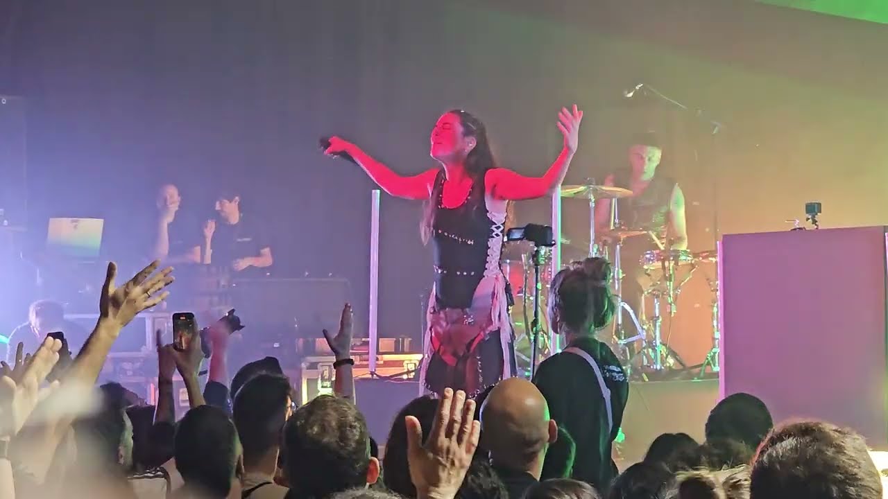 DELAPORTE - Rendición (Live in Madrid) 4K
