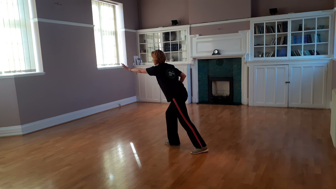 Full Tai Chi set of 108 moves (including the bow at start and finish)