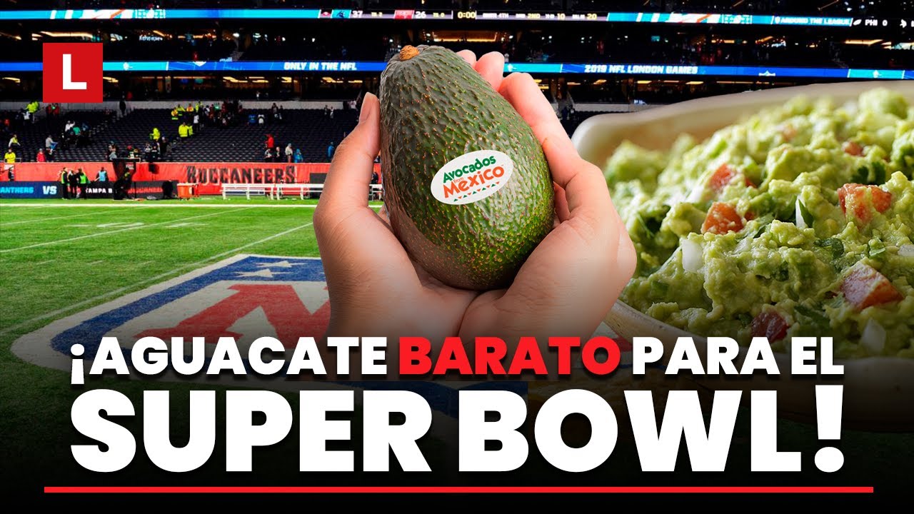 📉 El aguacate baja 19% en EU antes del Super Bowl: qué pasó con el precio y México