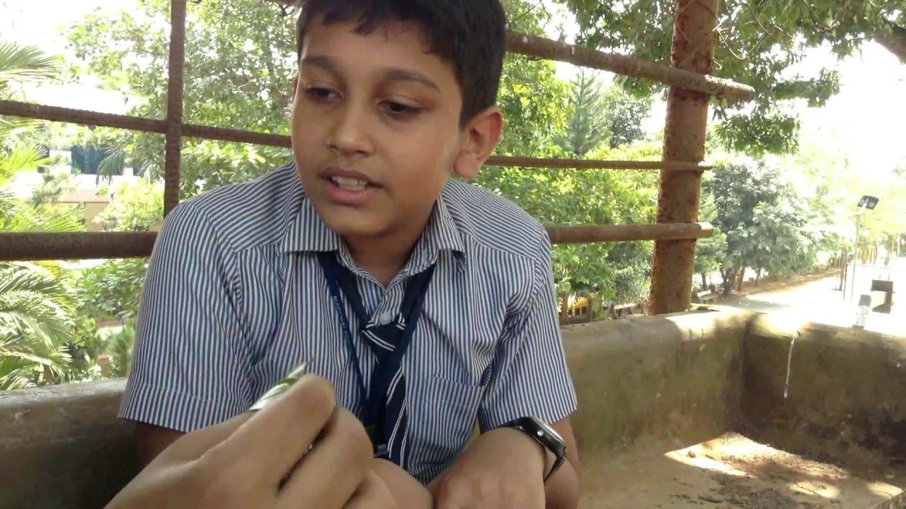marygiri public school koothattukulam 